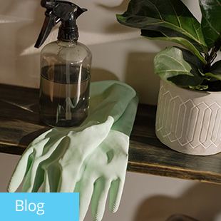 img text: Blog img des: Glove and a spray bottle with a plant